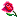 وردة
